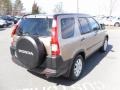Sahara Sand Metallic - CR-V EX 4WD Photo No. 4