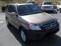 Sahara Sand Metallic - CR-V EX 4WD Photo No. 5