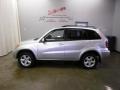 Titanium Metallic - RAV4 4WD Photo No. 2