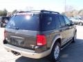 2005 Dark Stone Metallic Ford Explorer Eddie Bauer 4x4  photo #5
