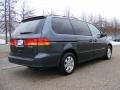 2003 Sage Brush Pearl Honda Odyssey EX  photo #5