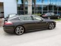 Carbon Grey Metallic - Panamera 4S Photo No. 7