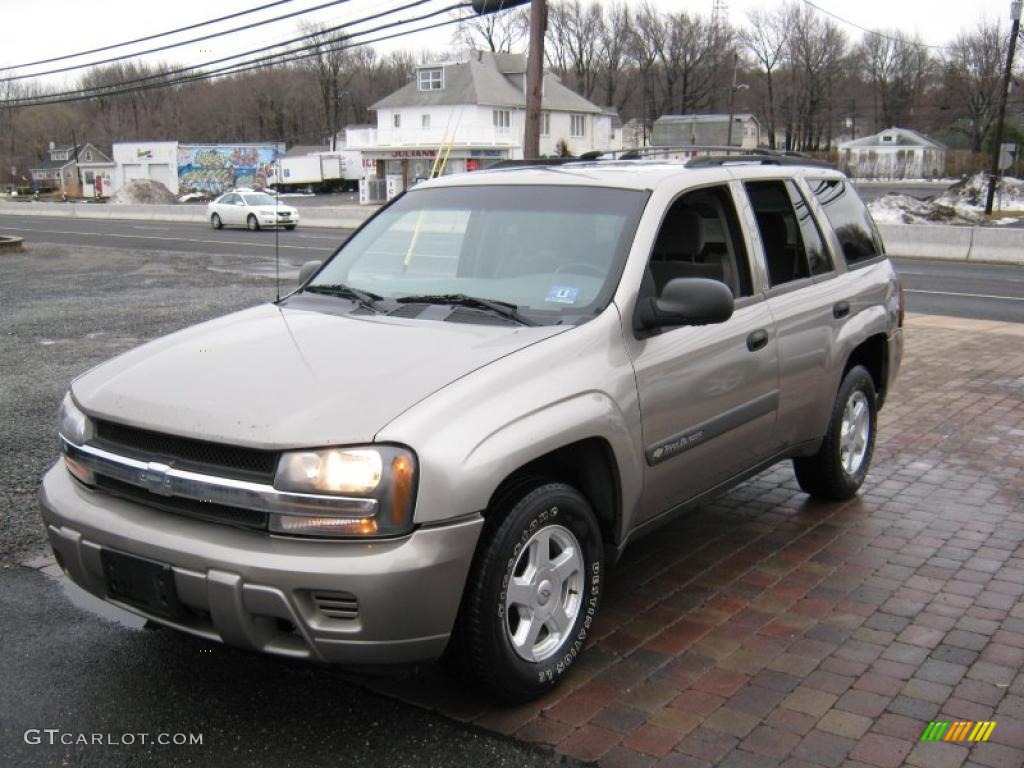 2003 TrailBlazer LS - Light Pewter Metallic / Medium Pewter photo #1