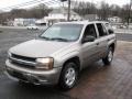 Light Pewter Metallic - TrailBlazer LS Photo No. 1