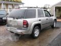 Light Pewter Metallic - TrailBlazer LS Photo No. 3