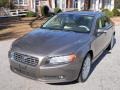 Oyster Gray Metallic - S80 3.2 Photo No. 1