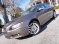 Oyster Gray Metallic - S80 3.2 Photo No. 8