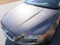 Oyster Gray Metallic - S80 3.2 Photo No. 18