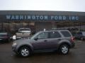 2009 Sterling Grey Metallic Ford Escape XLT V6 4WD  photo #1