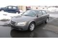 Willow Gray - Sonata GLS Photo No. 2