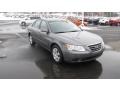 Willow Gray - Sonata GLS Photo No. 4