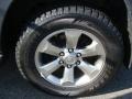 Shadow Mica - 4Runner Limited 4x4 Photo No. 14