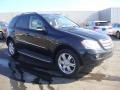 Black - ML 500 4Matic Photo No. 5