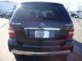 Black - ML 500 4Matic Photo No. 8