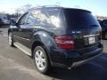 Black - ML 500 4Matic Photo No. 9