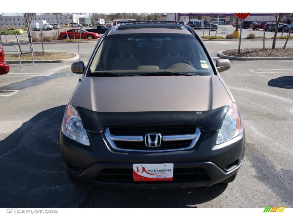 2003 CR-V EX 4WD - Mojave Mist Metallic / Saddle photo #2