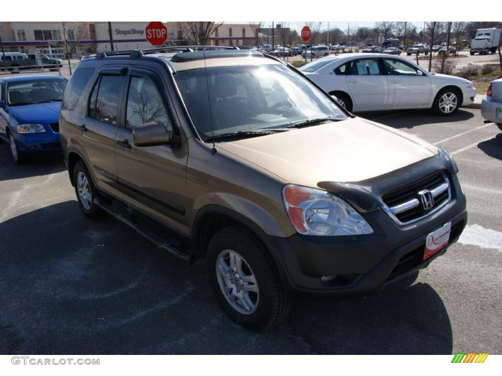 2003 CR-V EX 4WD - Mojave Mist Metallic / Saddle photo #3