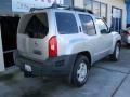 Silver Lightning Metallic - Xterra S Photo No. 3