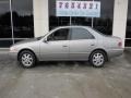 Antique Sage Pearl - Camry XLE V6 Photo No. 6