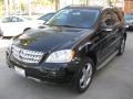Black - ML 350 4Matic Photo No. 9