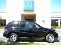 Black - ML 350 4Matic Photo No. 5