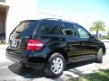 Black - ML 350 4Matic Photo No. 6