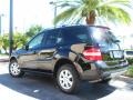 Black - ML 350 4Matic Photo No. 8