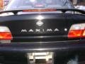 Super Black - Maxima GXE Photo No. 5
