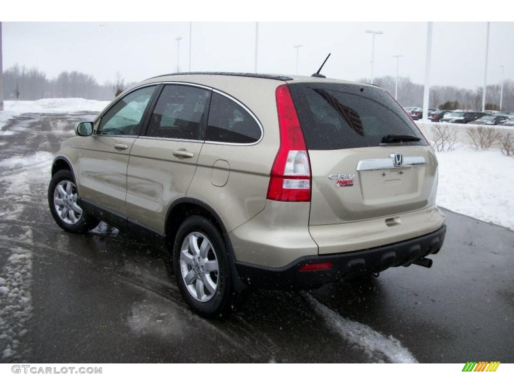 2009 CR-V EX-L 4WD - Borrego Beige Metallic / Ivory photo #7