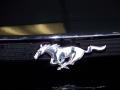 Black - Mustang SVT Cobra Convertible Photo No. 12