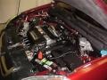 2003 Chianti Red Pearl Honda CR-V EX 4WD  photo #27