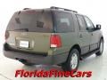 2005 Estate Green Metallic Ford Expedition XLT  photo #2