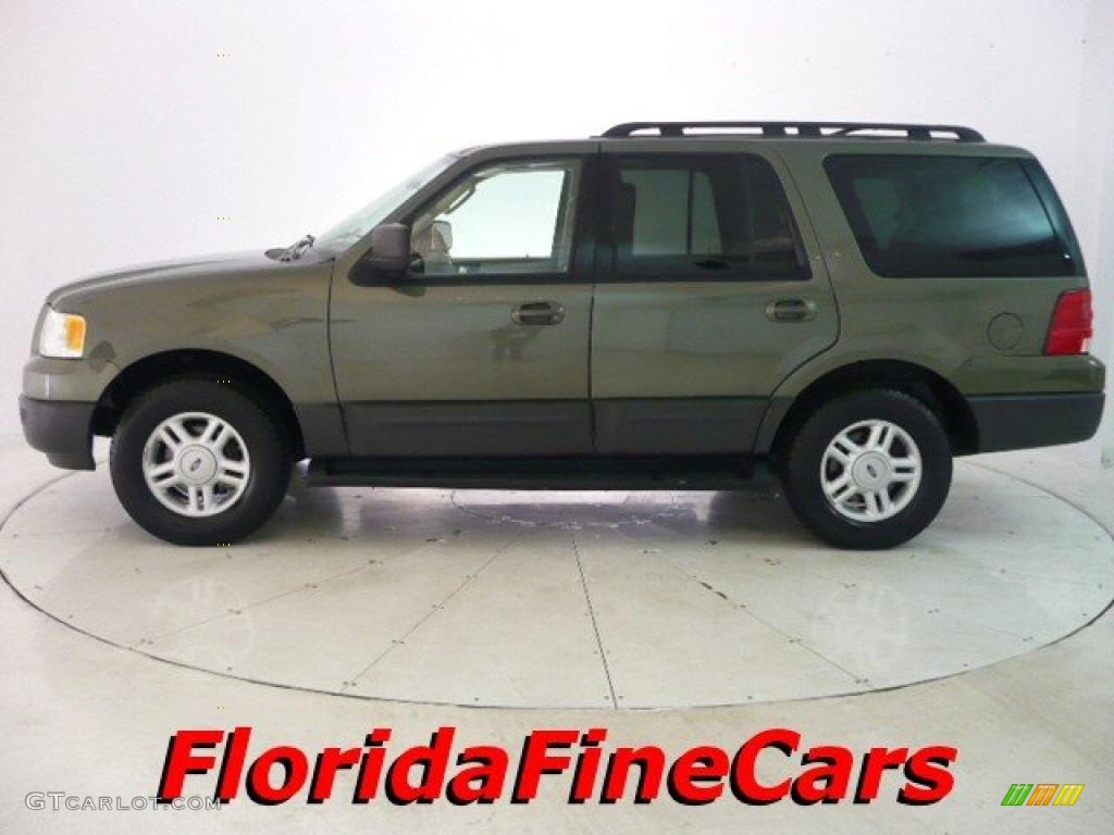 2005 Expedition XLT - Estate Green Metallic / Medium Parchment photo #3