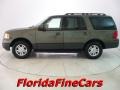 2005 Estate Green Metallic Ford Expedition XLT  photo #3