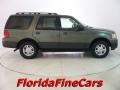 2005 Estate Green Metallic Ford Expedition XLT  photo #4