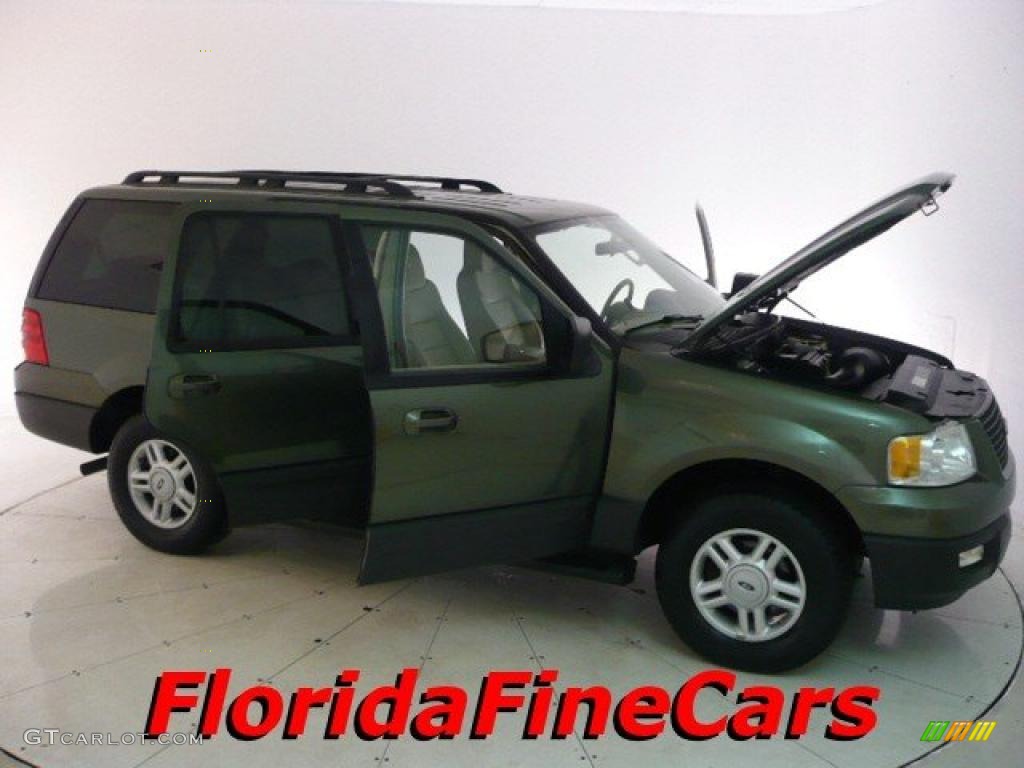 2005 Expedition XLT - Estate Green Metallic / Medium Parchment photo #7