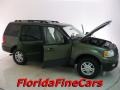 2005 Estate Green Metallic Ford Expedition XLT  photo #7