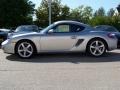 Arctic Silver Metallic - Cayman  Photo No. 2