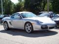 Arctic Silver Metallic - Cayman  Photo No. 4