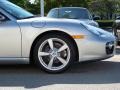 Arctic Silver Metallic - Cayman  Photo No. 7