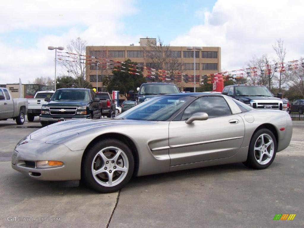 2000 Corvette Coupe - Light Pewter Metallic / Light Oak photo #1
