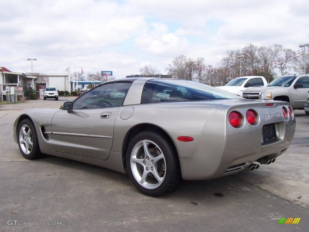 2000 Corvette Coupe - Light Pewter Metallic / Light Oak photo #2
