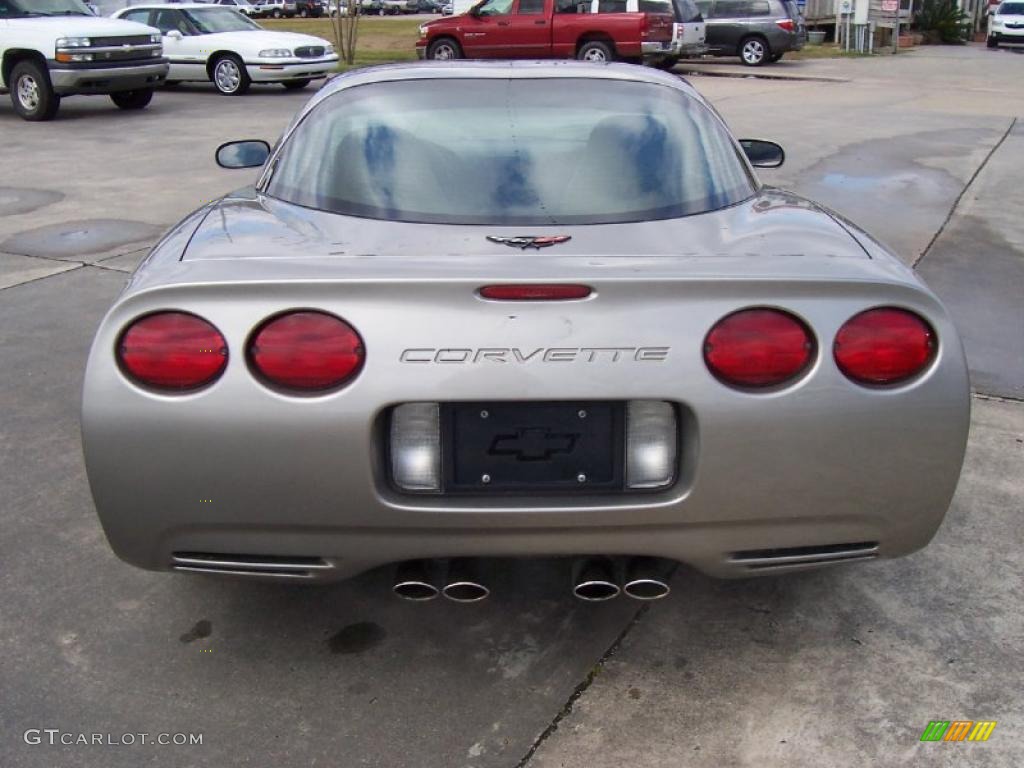 2000 Corvette Coupe - Light Pewter Metallic / Light Oak photo #3