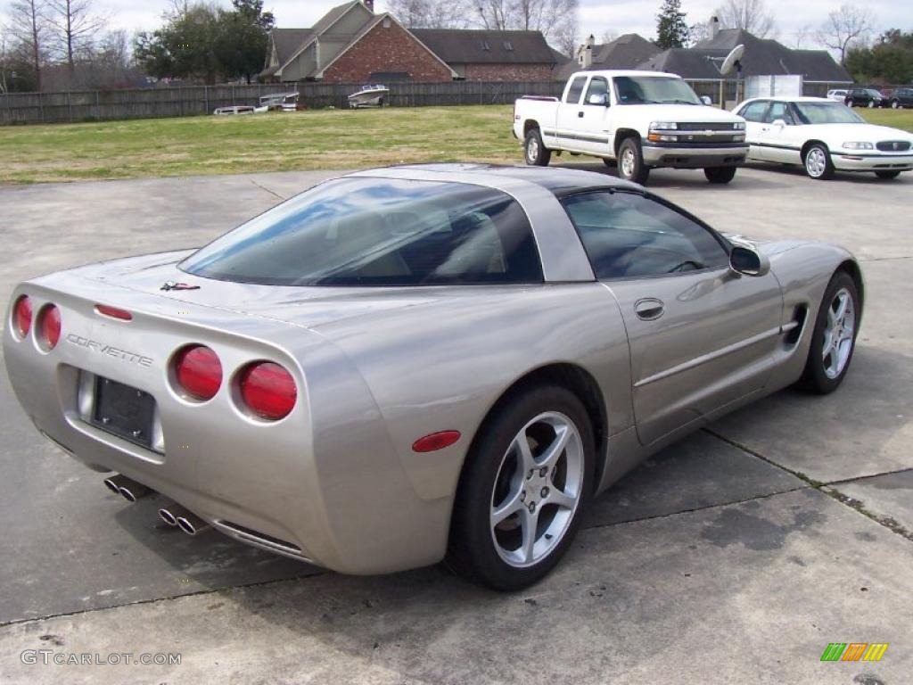 2000 Corvette Coupe - Light Pewter Metallic / Light Oak photo #4
