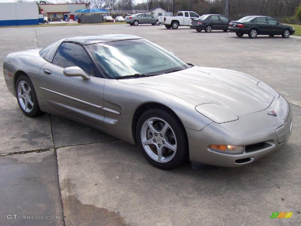 2000 Corvette Coupe - Light Pewter Metallic / Light Oak photo #5