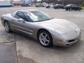 2000 Light Pewter Metallic Chevrolet Corvette Coupe  photo #5