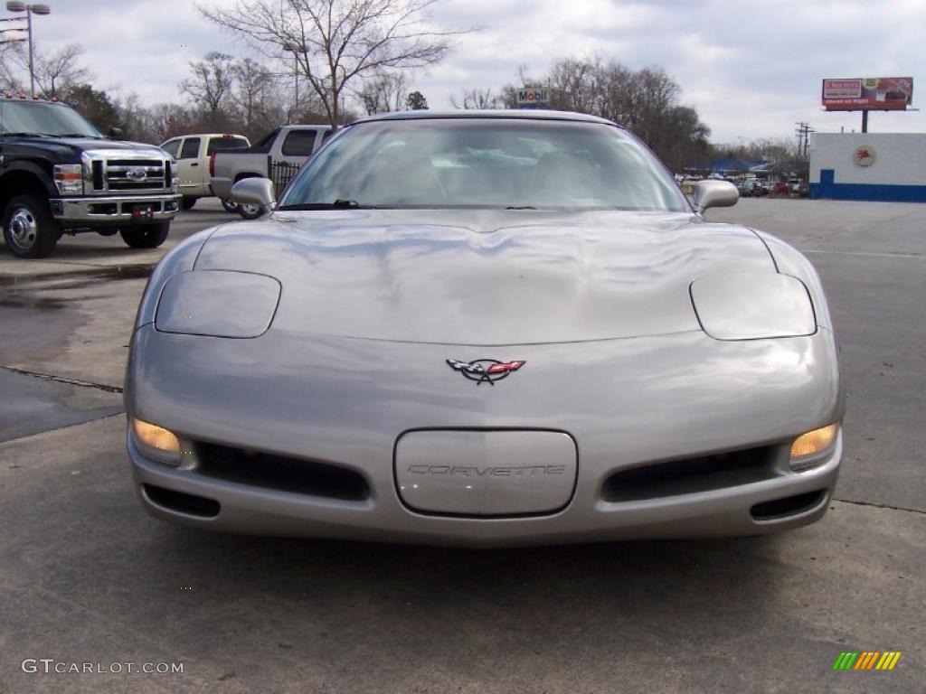 2000 Corvette Coupe - Light Pewter Metallic / Light Oak photo #6