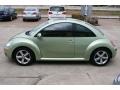 Gecko Green Metallic - New Beetle TDI Coupe Photo No. 5