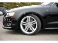Phantom Black Pearl Effect - S5 4.2 quattro Photo No. 3