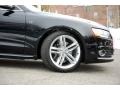 Phantom Black Pearl Effect - S5 4.2 quattro Photo No. 10
